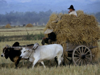 Myanmar