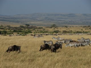 Rocky Valley, Kenya