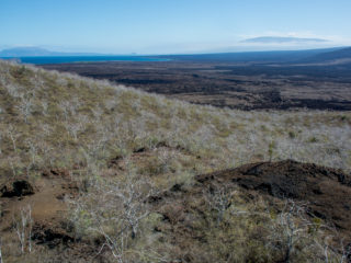 Isabela Island