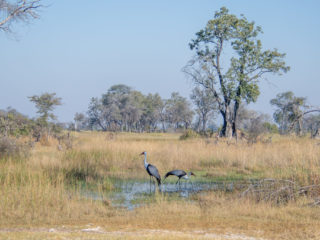 Botswana