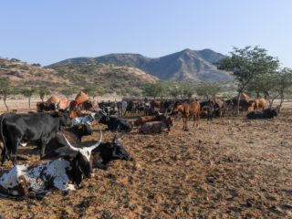 Kunene River Ovahimba