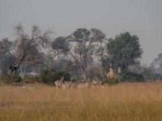 Botswana