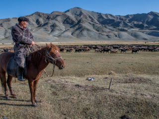 Altai Mountains, Mongolia