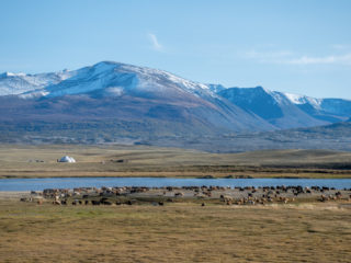 Altai Mountains, Mongolia