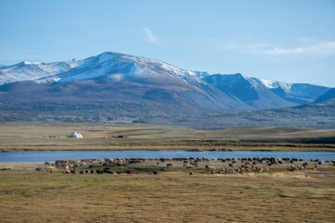 Altai Mountains, Mongolia