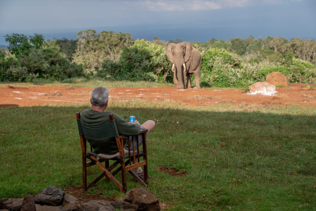 The Rhino Retreat